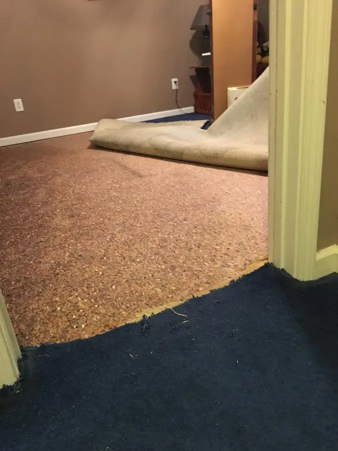 Carpet pad removal revealing water damage during Drying & Dehumidification in Ontario